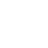 Fly icon